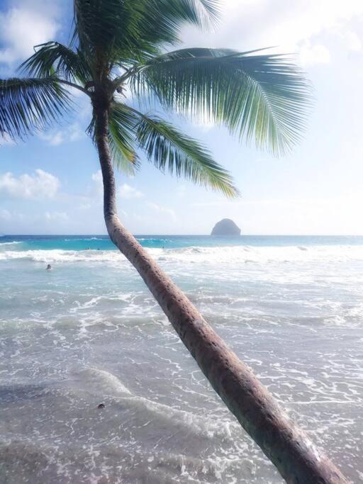 Superbe Studio, A 20 Metres De La Plage, Acces Direct Grande Plage Diamant เลอ ดีอามงต์ ภายนอก รูปภาพ