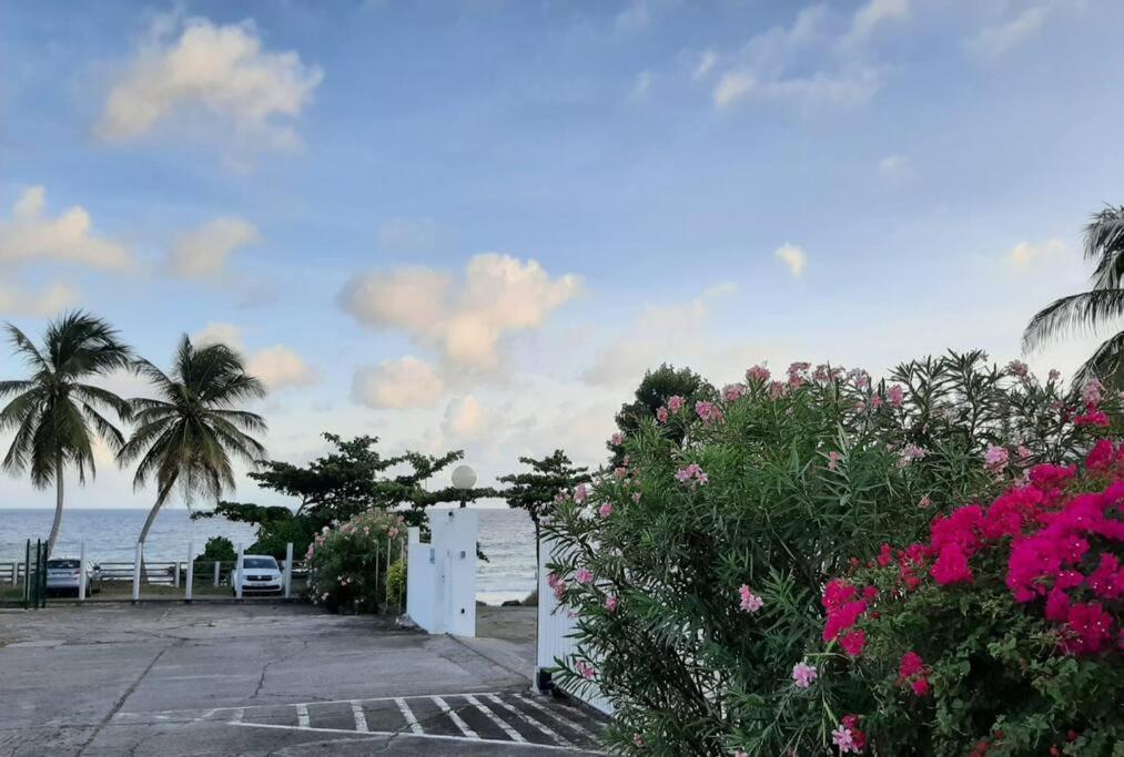 Superbe Studio, A 20 Metres De La Plage, Acces Direct Grande Plage Diamant เลอ ดีอามงต์ ภายนอก รูปภาพ