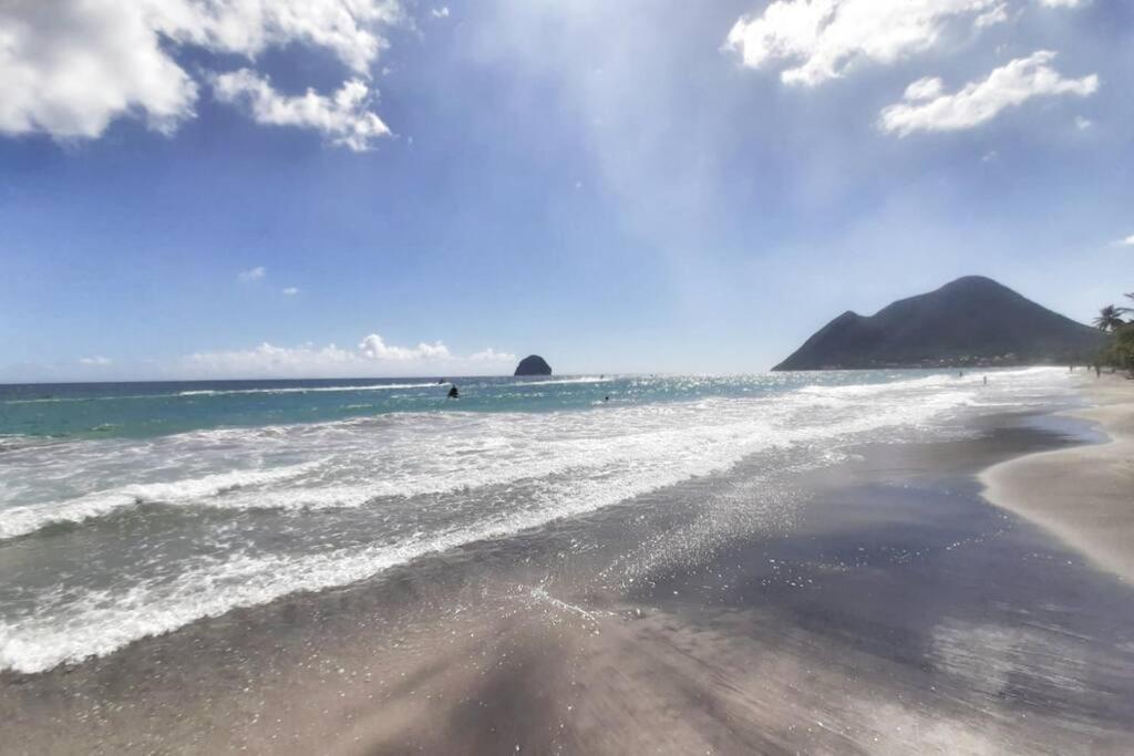 Superbe Studio, A 20 Metres De La Plage, Acces Direct Grande Plage Diamant เลอ ดีอามงต์ ภายนอก รูปภาพ